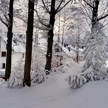 Gold Mountain Apartman *