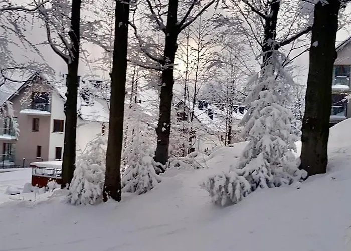 Gold Mountain Apartment *